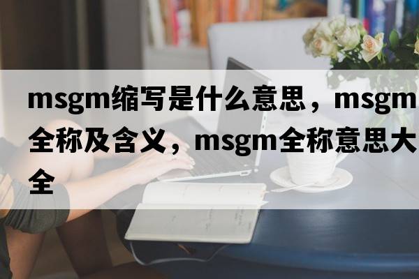 msgm縮寫是什么意思，msgm的全稱及含義，msgm全稱意思大全