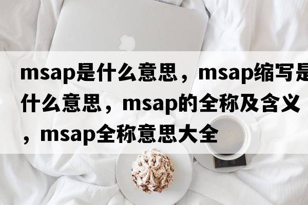 msap是什么意思，msap縮寫是什么意思，msap的全稱及含義，msap全稱意思大全