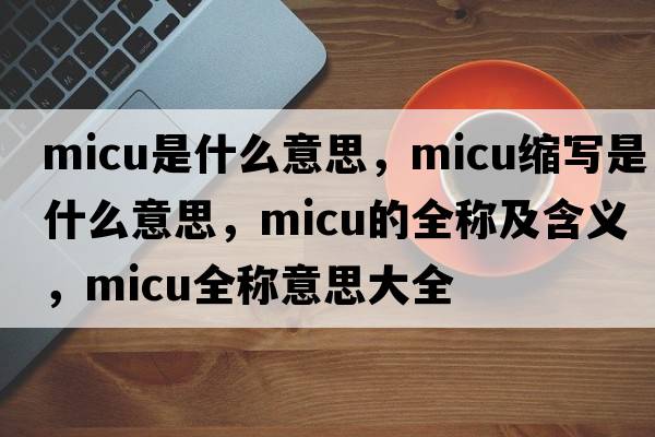micu是什么意思，micu縮寫是什么意思，micu的全稱及含義，micu全稱意思大全