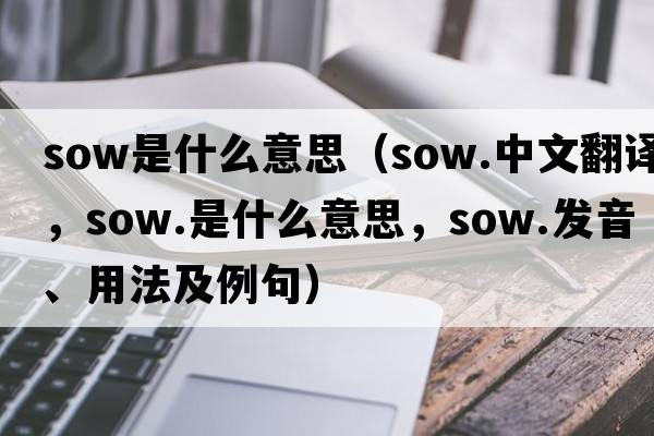 sow是什么意思（sow.中文翻譯，sow.是什么意思，sow.發(fā)音、用法及例句）
