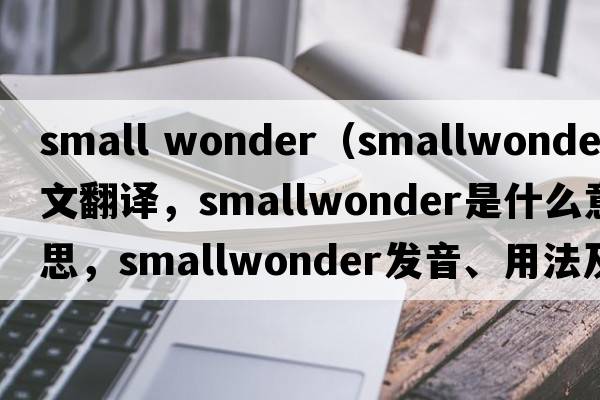 small wonder（smallwonder中文翻譯，smallwonder是什么意思，smallwonder發(fā)音、用法及例句）