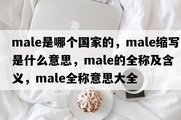 male是哪個(gè)國家的，male縮寫是什么意思，male的全稱及含義，male全稱意思大全