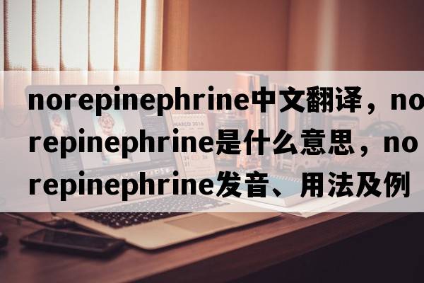 norepinephrine中文翻譯，norepinephrine是什么意思，norepinephrine發(fā)音、用法及例句