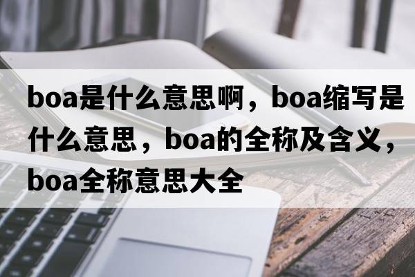 boa是什么意思啊，boa縮寫是什么意思，boa的全稱及含義，boa全稱意思大全