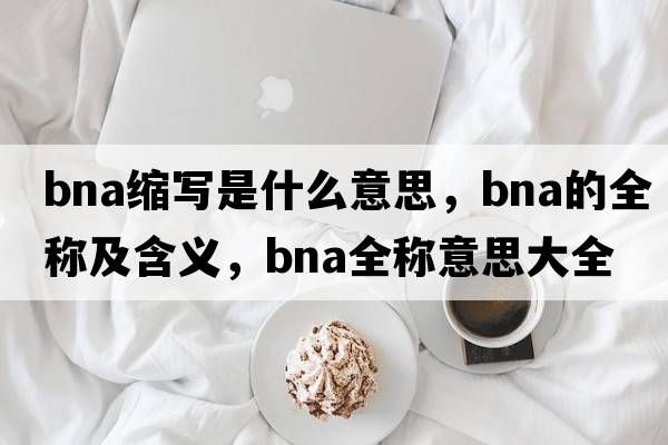 bna縮寫是什么意思，bna的全稱及含義，bna全稱意思大全