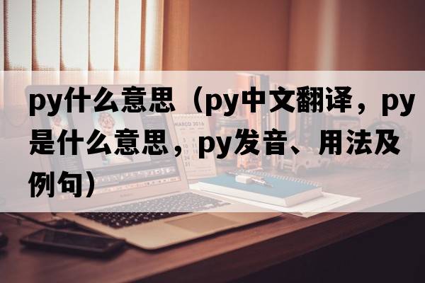 py什么意思（py中文翻譯，py是什么意思，py發(fā)音、用法及例句）