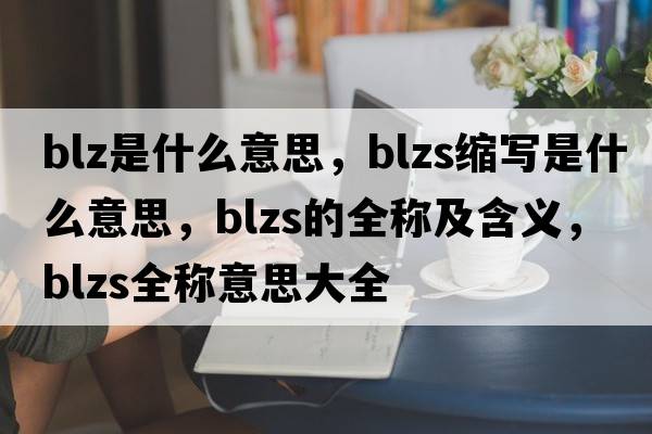 blz是什么意思，blzs縮寫是什么意思，blzs的全稱及含義，blzs全稱意思大全