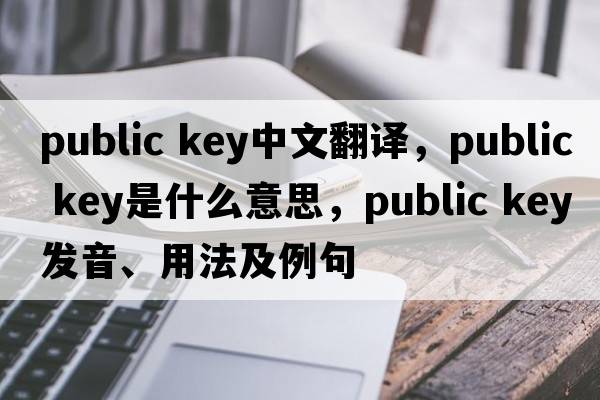 public key中文翻譯，public key是什么意思，public key發(fā)音、用法及例句