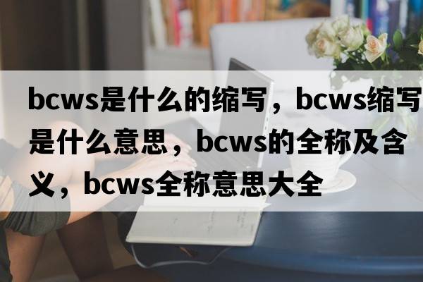 bcws是什么的縮寫，bcws縮寫是什么意思，bcws的全稱及含義，bcws全稱意思大全