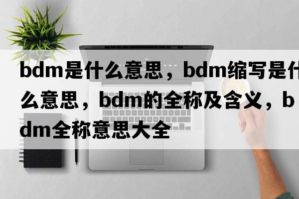 bdm是什么意思，bdm縮寫是什么意思，bdm的全稱及含義，bdm全稱意思大全