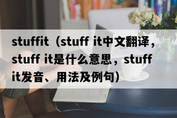 stuffit（stuff it中文翻譯，stuff it是什么意思，stuff it發(fā)音、用法及例句）