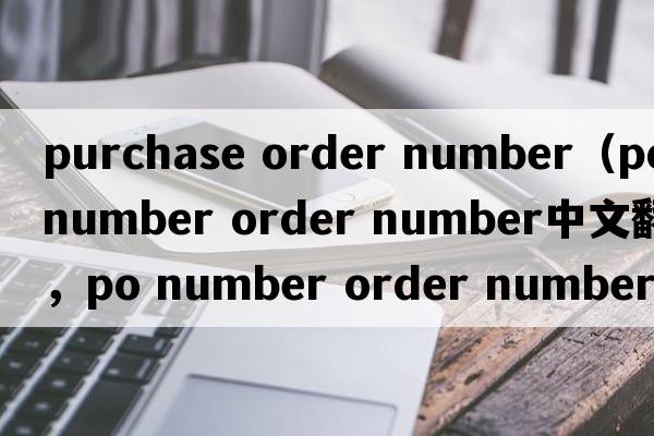 purchase order number（po number order number中文翻譯，po number order number是什么意思，po number order number發(fā)