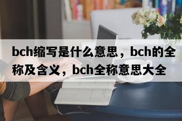 bch縮寫是什么意思，bch的全稱及含義，bch全稱意思大全