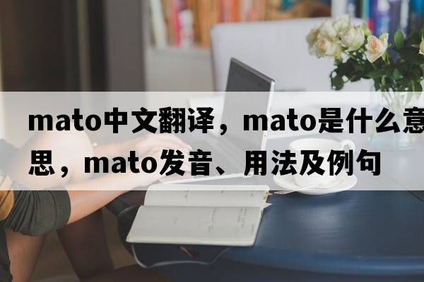 MATO中文翻譯，MATO是什么意思，MATO發(fā)音、用法及例句