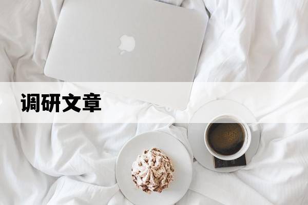 調(diào)研文章