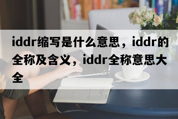 iddr縮寫是什么意思，iddr的全稱及含義，iddr全稱意思大全
