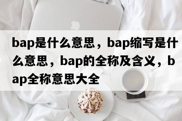 bap是什么意思，bap縮寫是什么意思，bap的全稱及含義，bap全稱意思大全
