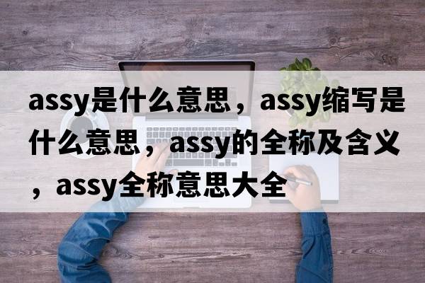 assy是什么意思，assy縮寫是什么意思，assy的全稱及含義，assy全稱意思大全