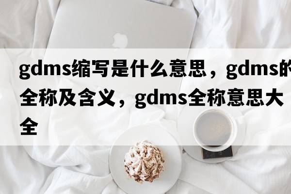 gdms縮寫是什么意思，gdms的全稱及含義，gdms全稱意思大全