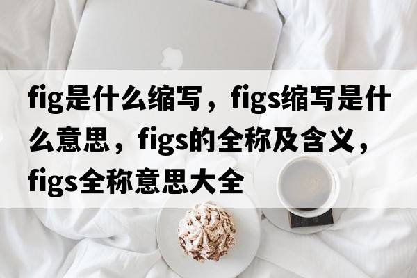 fig是什么縮寫，figs縮寫是什么意思，figs的全稱及含義，figs全稱意思大全