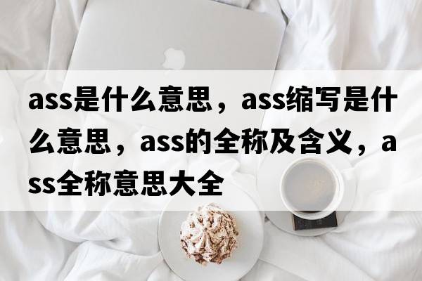 ass是什么意思，ass縮寫是什么意思，ass的全稱及含義，ass全稱意思大全