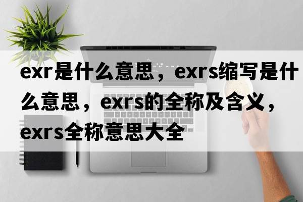 exr是什么意思，exrs縮寫是什么意思，exrs的全稱及含義，exrs全稱意思大全