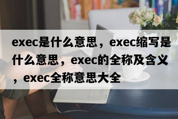 exec是什么意思，exec縮寫是什么意思，exec的全稱及含義，exec全稱意思大全