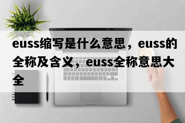 euss縮寫是什么意思，euss的全稱及含義，euss全稱意思大全