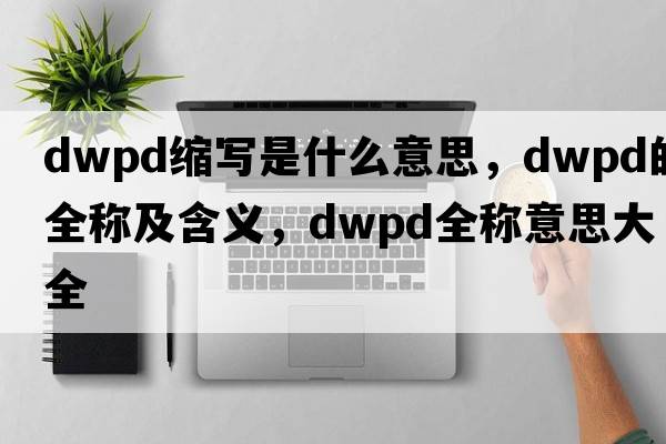 dwpd縮寫是什么意思，dwpd的全稱及含義，dwpd全稱意思大全