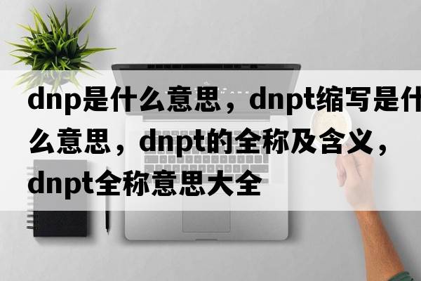 dnp是什么意思，dnpt縮寫是什么意思，dnpt的全稱及含義，dnpt全稱意思大全