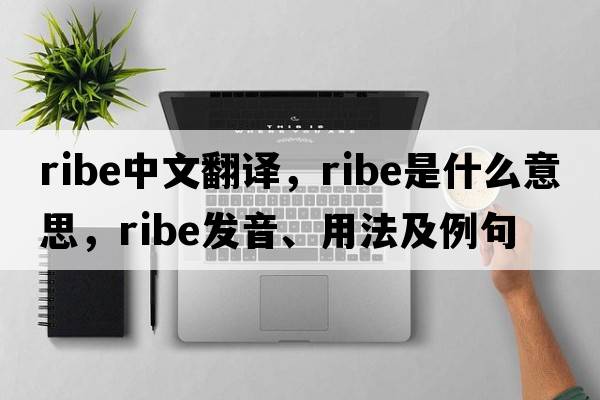 ribe中文翻譯，ribe是什么意思，ribe發(fā)音、用法及例句