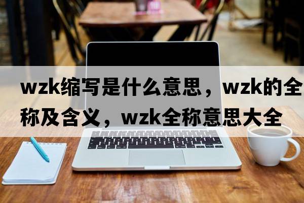 wzk縮寫是什么意思，wzk的全稱及含義，wzk全稱意思大全