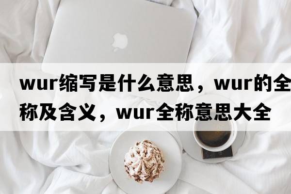 wur縮寫是什么意思，wur的全稱及含義，wur全稱意思大全