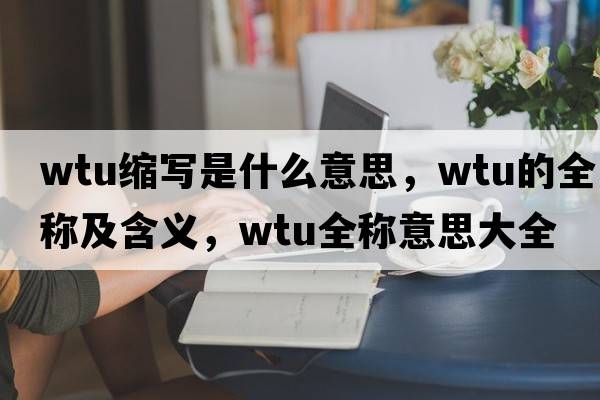 wtu縮寫(xiě)是什么意思，wtu的全稱及含義，wtu全稱意思大全