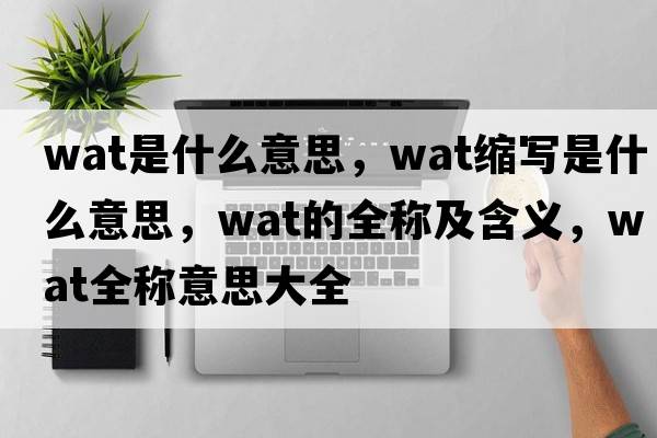 wat是什么意思，wat縮寫是什么意思，wat的全稱及含義，wat全稱意思大全