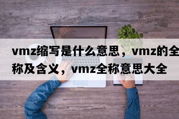 vmz縮寫是什么意思，vmz的全稱及含義，vmz全稱意思大全