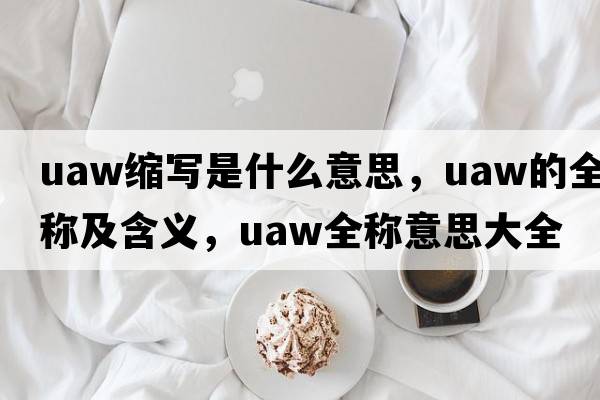 uaw縮寫是什么意思，uaw的全稱及含義，uaw全稱意思大全