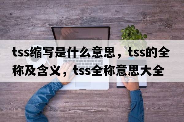 tss縮寫是什么意思，tss的全稱及含義，tss全稱意思大全