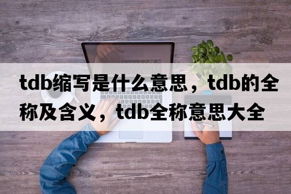 tdb縮寫是什么意思，tdb的全稱及含義，tdb全稱意思大全