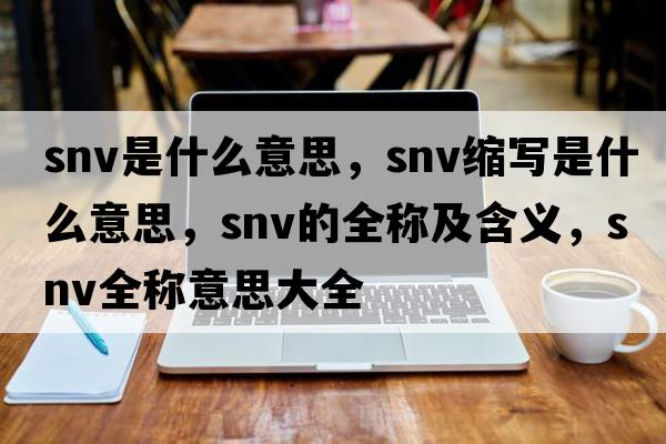 snv是什么意思，snv縮寫(xiě)是什么意思，snv的全稱及含義，snv全稱意思大全