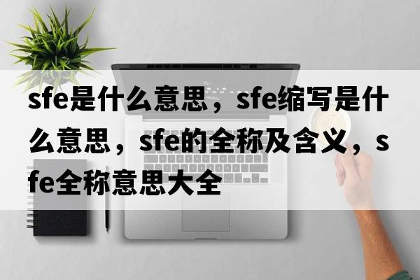 sfe是什么意思，sfe縮寫是什么意思，sfe的全稱及含義，sfe全稱意思大全