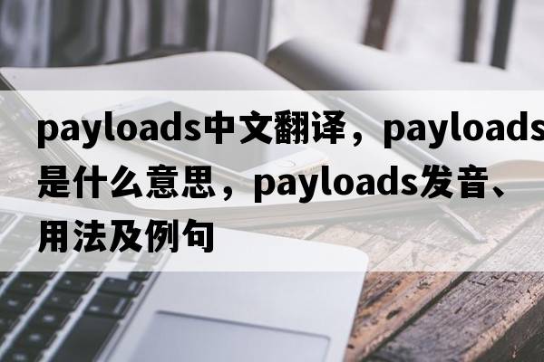 payloads中文翻譯，payloads是什么意思，payloads發(fā)音、用法及例句