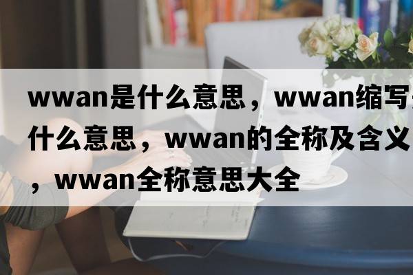 wwan是什么意思，wwan縮寫是什么意思，wwan的全稱及含義，wwan全稱意思大全