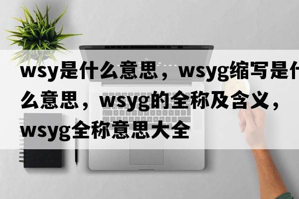 wsy是什么意思，wsyg縮寫是什么意思，wsyg的全稱及含義，wsyg全稱意思大全