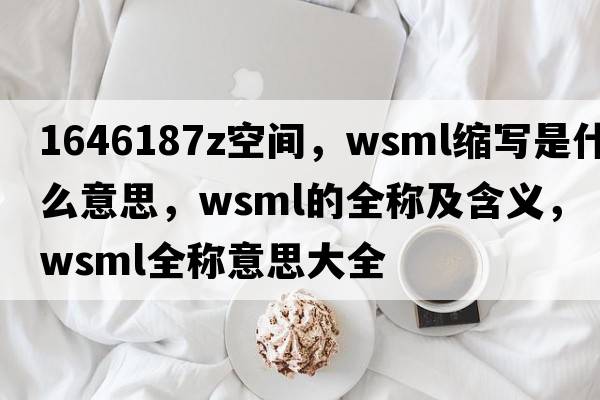 1646187Z空間，wsml縮寫是什么意思，wsml的全稱及含義，wsml全稱意思大全