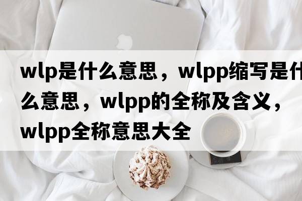 wlp是什么意思，wlpp縮寫是什么意思，wlpp的全稱及含義，wlpp全稱意思大全