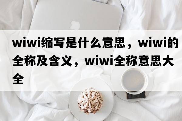 wiwi縮寫是什么意思，wiwi的全稱及含義，wiwi全稱意思大全