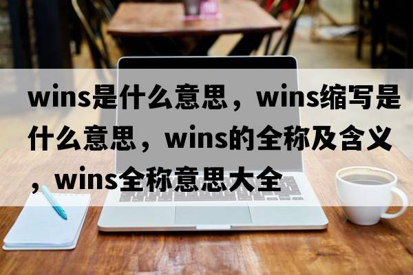 wins是什么意思，wins縮寫是什么意思，wins的全稱及含義，wins全稱意思大全
