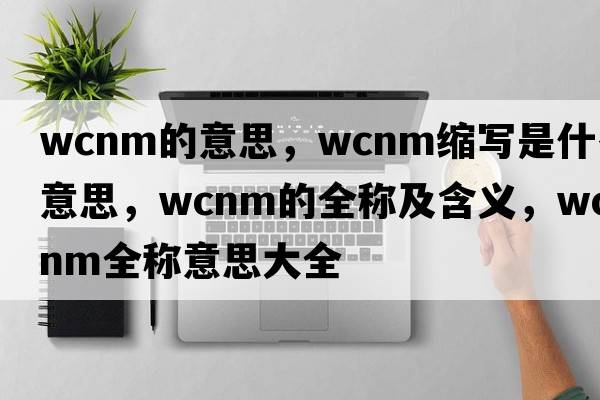 wcnm的意思，wcnm縮寫是什么意思，wcnm的全稱及含義，wcnm全稱意思大全