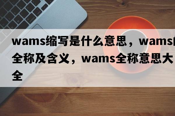 wams縮寫是什么意思，wams的全稱及含義，wams全稱意思大全